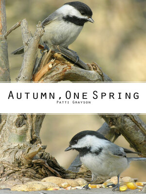 cover image of Autumn, One Spring